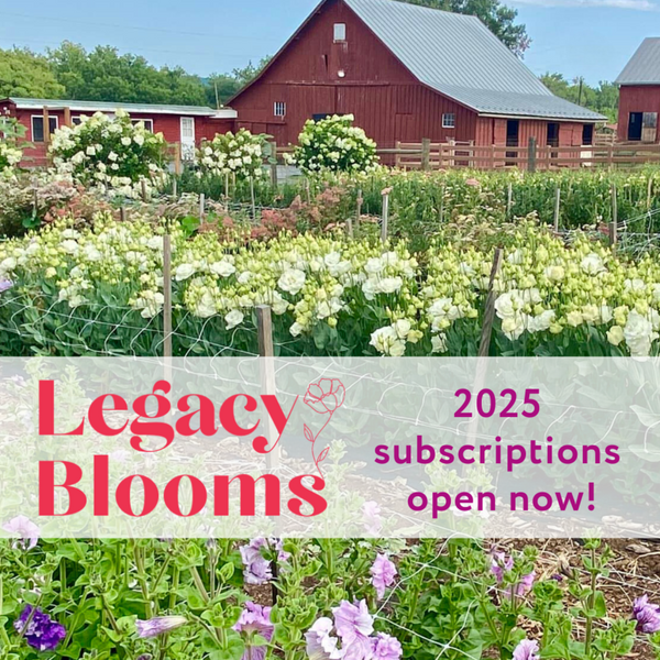 Legacy Blooms CSA Bouquet Subscription